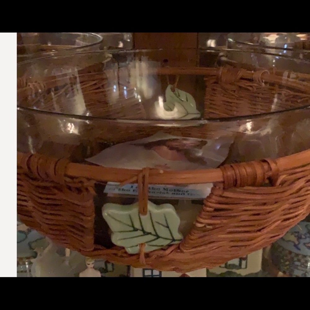 NEW 11” Glass bowl with tech rid of leaf wicker holder.